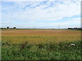 Flat farmland near Boyce Fen Farm in PE14 8PP