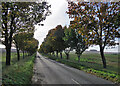 Up Fowlmere Road in October in SG8 7NS