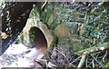Culvert under Cycle Track in SA9 1QP