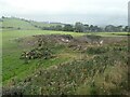Felled tree and bonfire, north of Apesford in Bradnop