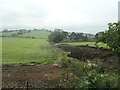Former field boundary, south-east of Longshaw in Bradnop