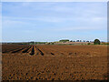 Potato field and Goffers Knoll in SG8 7PZ