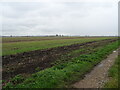 Flat farmland, Stow Bardolph Fen in PE38 0AH
