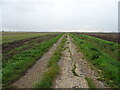 Track onto Stow Bardolph Fen in PE38 0AH