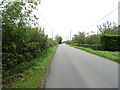West Head Road towards Stow Bridge in PE34 3NP