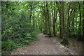 Footpath, High Woods in TN39 4RD