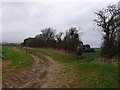 Farm track and hedge near Dewlish in DT2 7LT