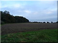 Field and woodland, Harpley in PE31 6TT