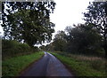Lane towards West Rudham in PE31 6TU