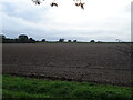 Field near West Rudham in PE31 8TB