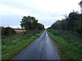 Lane towards West Rudham in PE31 8TB