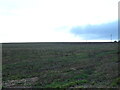 Farmland near West Rudham in PE31 8TD