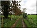 Track to the church, Ashwicken in PE32 1NA