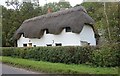 Thatched cottage on Grendon Road, Kingswood in HP18 0QU