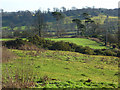 Farmland and copse, Avon Dassett in CV47 2AX