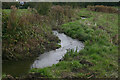 Tributary stream of River Roding, Fyfield in CM5 0NN
