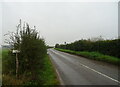 Gayton Road, East Winch in PE32 1XR