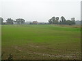 Young crop field towards Magpie Farm in PE32 1JE