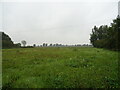 Rough ground south of the A47 in PE34 3LS