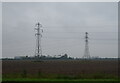 Field and pylons towards Fairfield Farm in PE34 3LS