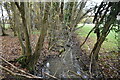 Tributary stream of the River Sherway in TN27 9DB