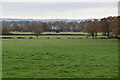 Low Weald pastoral landscape in TN27 9DB