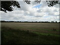 Stubble field near Gayton in PE32 1UQ