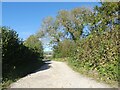 Near Spyway; field access and track to Loderswell Farm in DT2 9EP