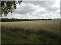 Stubble field near Gayton in PE32 1QF