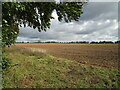 Prepared field near Gayton in PE32 1QF