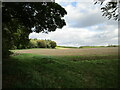 Stubble field and Gravelpit Plantation in PE32 1QF