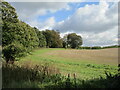 Stubble field and a corner of Gravelpit Plantation in PE32 1QF