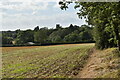 View towards Otley parish church in Otley Bottom