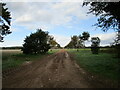 Farm track with avenue of trees in PE32 1QA