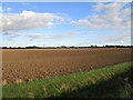 Prepared field near West Lynn in PE34 3NB