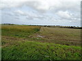 Fields off Wells Road in NR21 0PQ