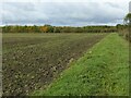 Ploughed field and headland in NG13 9JJ