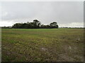 Stubble field near Millhill Bridge in PE24 5AT
