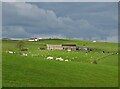 Looking across sheep pastures to Howe Green Farm in SK17 0SL
