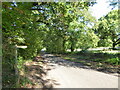 Road and path junction in Milland Road in GU29 0PJ