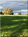 Field near Blackden Manor Farm in CW4 8GP