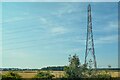 Hazlerigg : Field & Pylon in NE13 7BZ