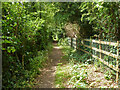 Footpath towards Aldenham church in Aldenham West Ward
