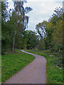 Path in Warley Country Park in CM14 5JL