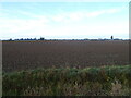 Flat fenland field in PE20 3RB