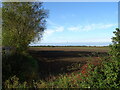 Flat farmland, Ash Tree Farm in PE20 3RJ