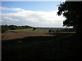 Fields east of Meynell Langley (2) in Kedleston