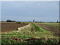 Overgrown drain off Claydike Bank in Swineshead and Holland Fen Ward