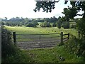 Field and valley, near Lower Wraxall in DT2 0HL