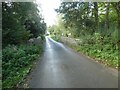 Bridge over stream at Lower Wraxall in DT2 0HL